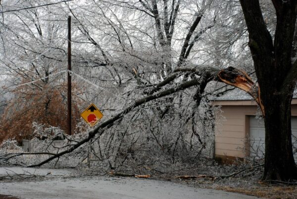 Did the recent ice storm interfere with your tax obligations Did the recent ice storm interfere with your tax obligations