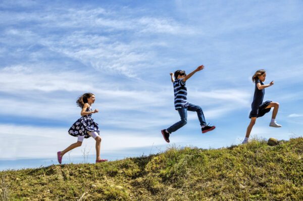 Fitness tax credit and arts credit