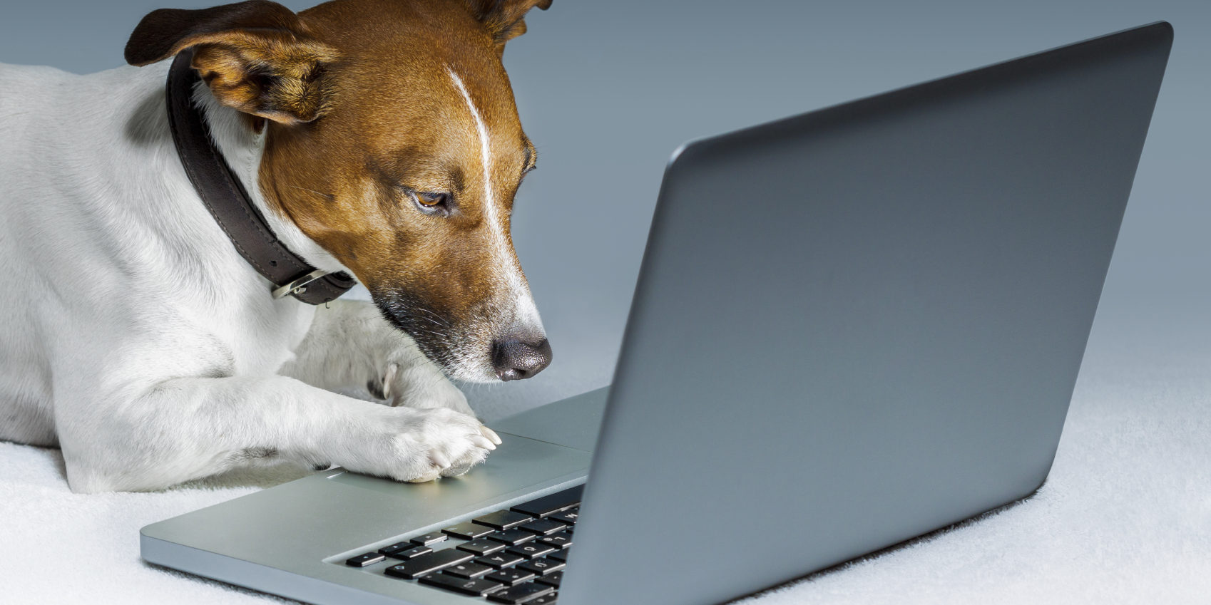 Don't use your neighbor for tax preparation