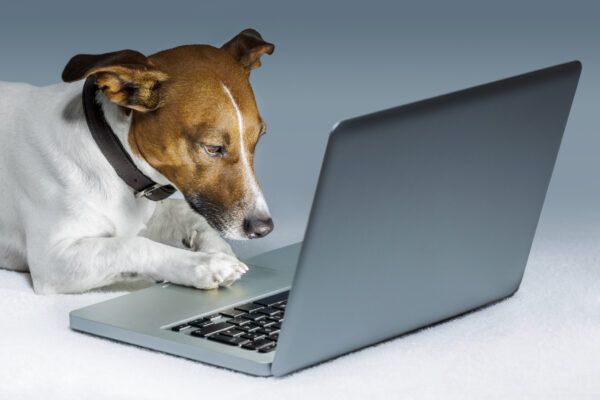 Don't use your neighbor for tax preparation