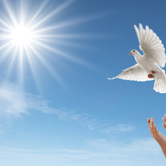 Come clean with voluntary disclosure