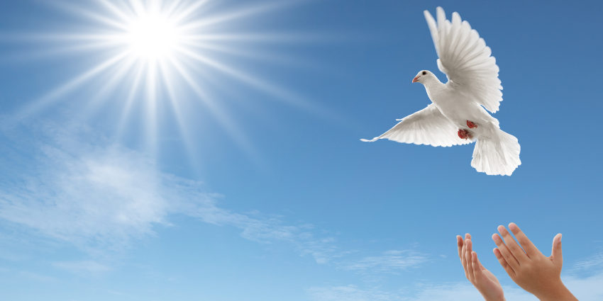 Come clean with voluntary disclosure