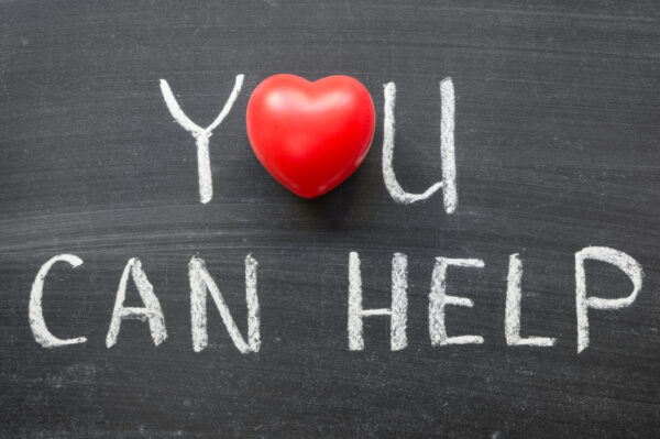 Charities in Canada Charities and tax audit