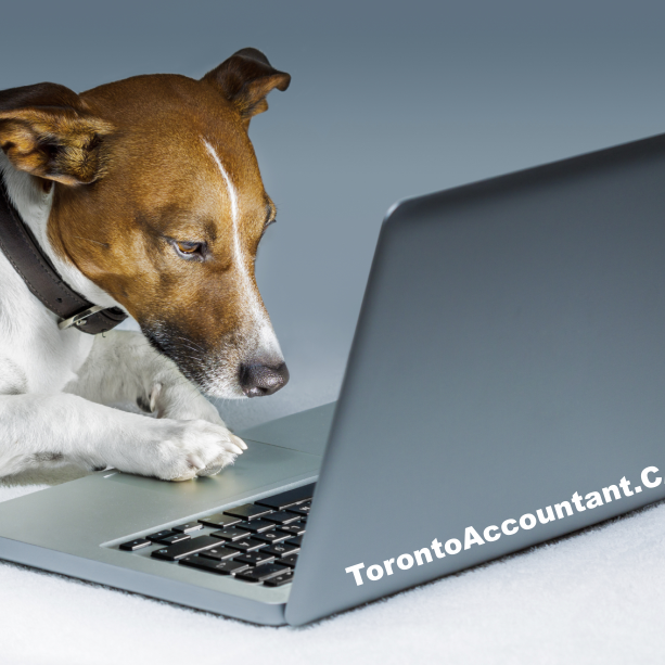 Automated accounting in Canada