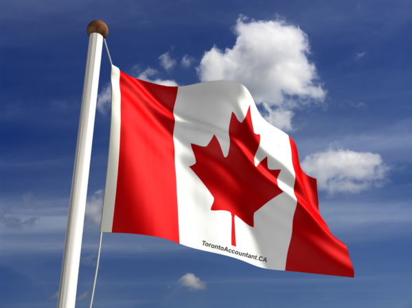 Can you really reduce your Canada Tax