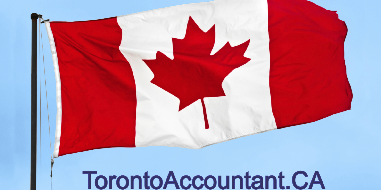 using your Member of Parliament