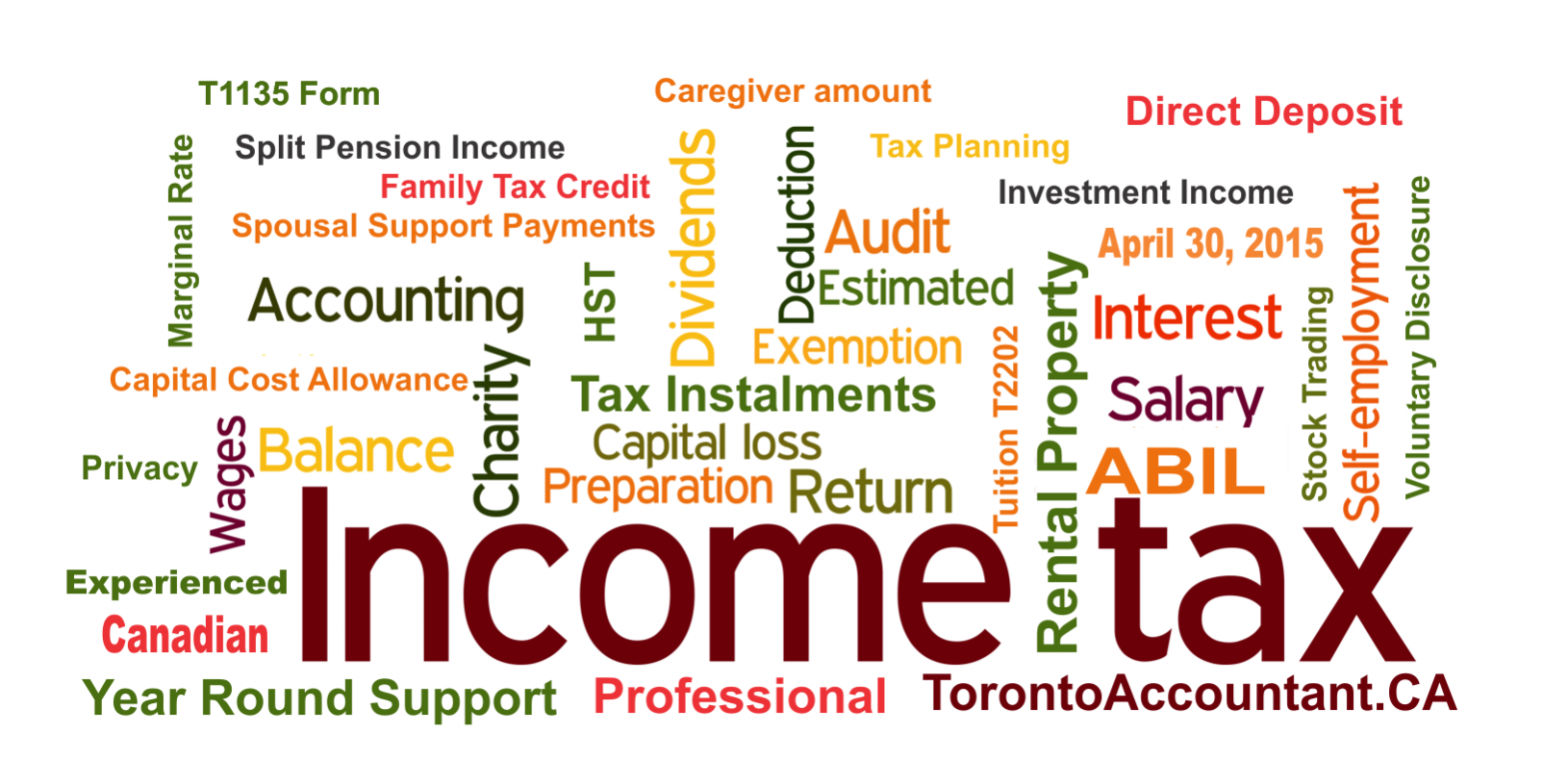 Tax software or tax accountant