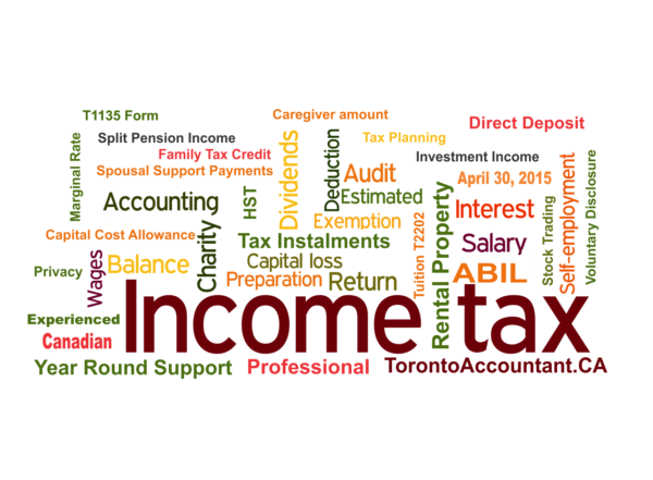 Tax software or tax accountant