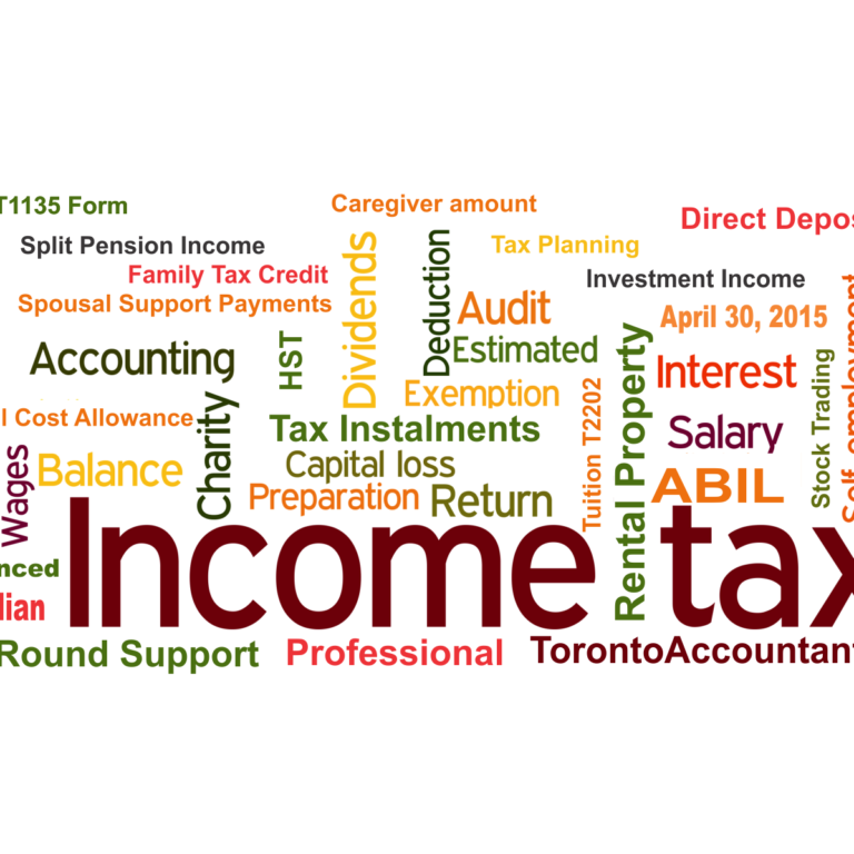 Tax software or tax accountant