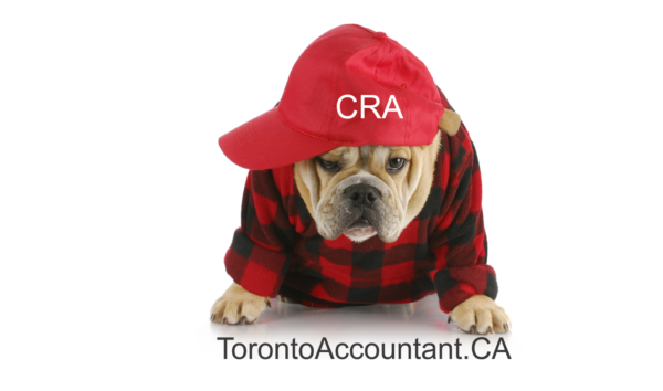 CRA reporting crimes to police