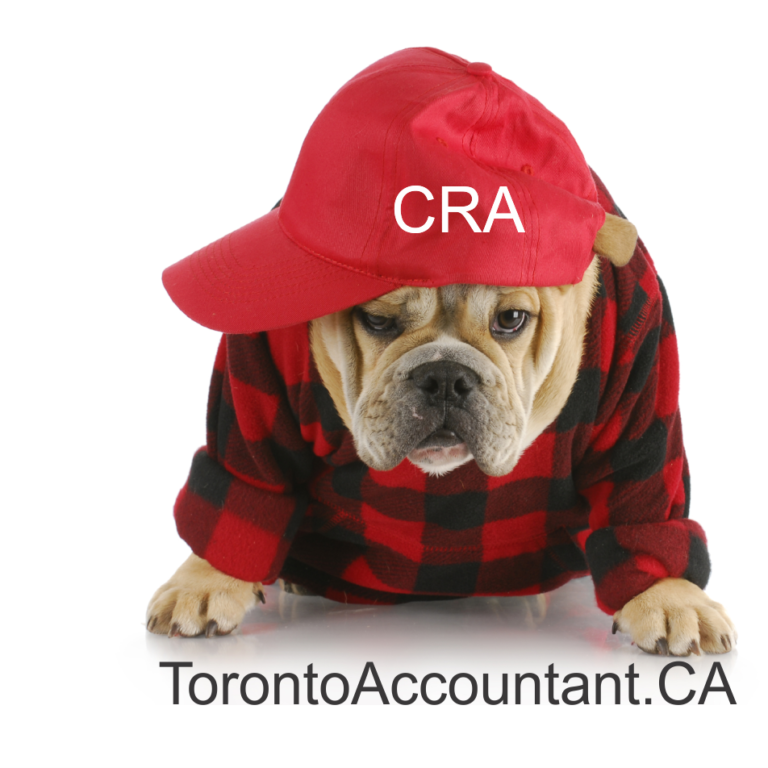 CRA reporting crimes to police