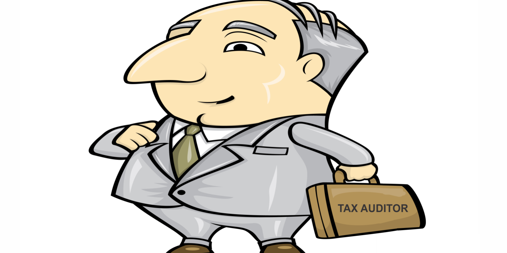 Tax auditor