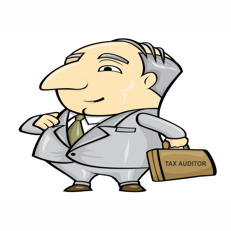 Tax auditor