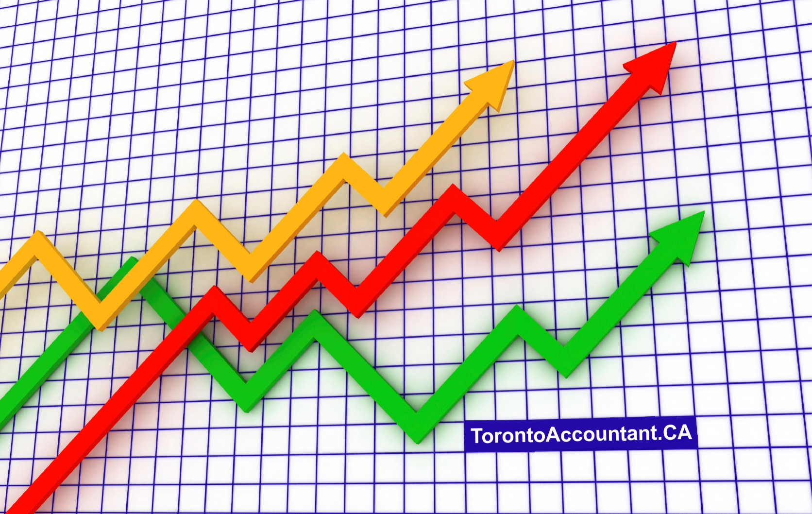 monitoring business financials