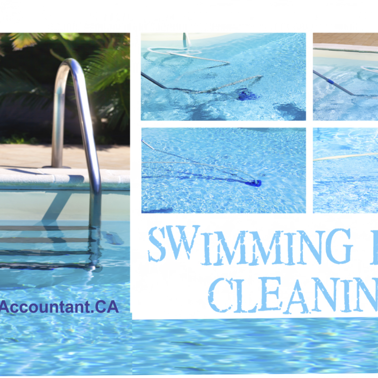 summer business ideas for students